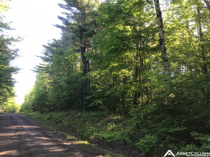 Pine Tree Shore, Alexander , Maine, Alexander, ME Investment Deal