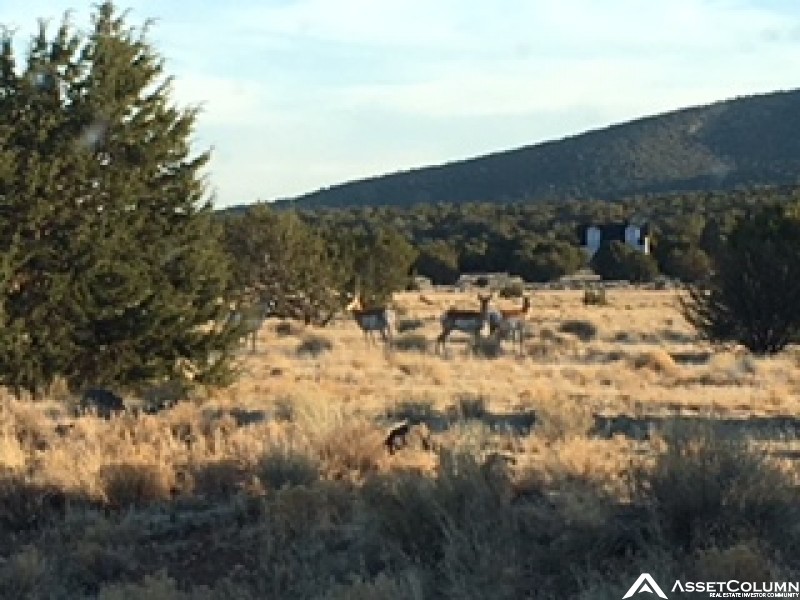 48950 N Anvil Rock Rd, Seligman, AZ Investment Deal AssetColumn